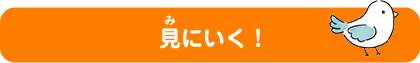 見に行く！