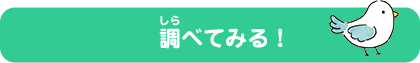 調べてみる！