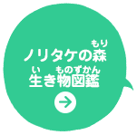ノリタケの森生き物図鑑