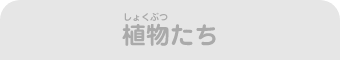 植物たち