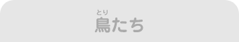 鳥たち