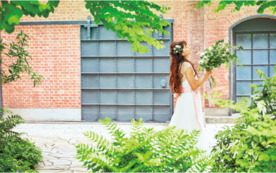 - Wedding -